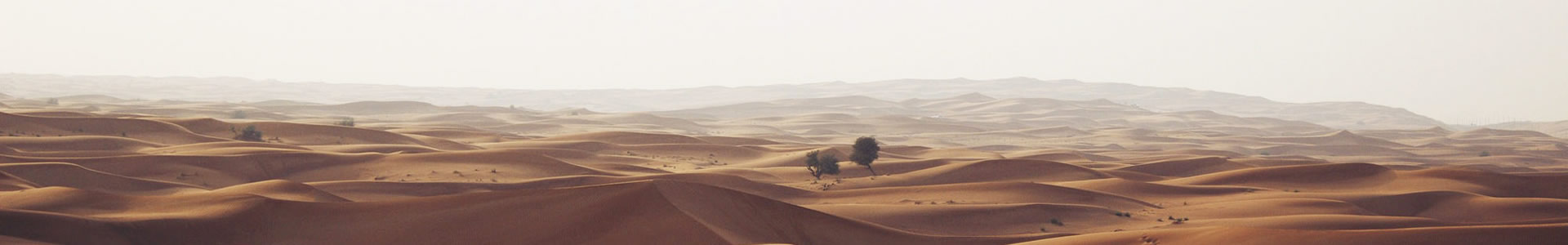 ൺ޹˾